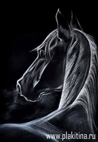 Рисуем белой пастелью черную лошадь