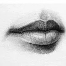 ​Рисуем губки