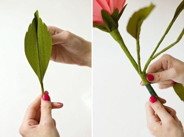 Гигантские розы из креповой бумаги