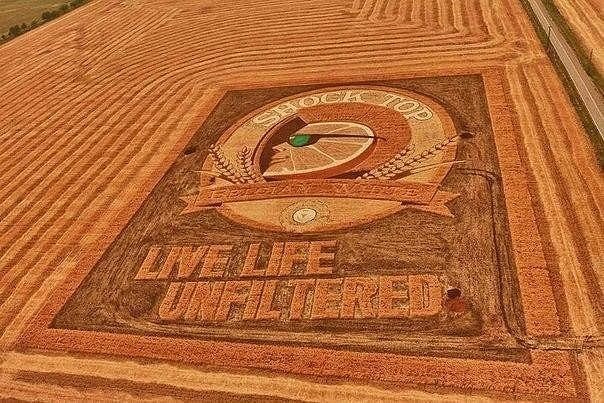 Картины трактором в полях