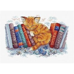 ​Котёнок, заснувший среди книг