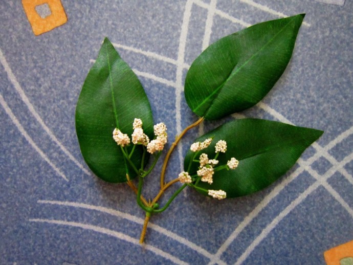 Незабываемые незабудки