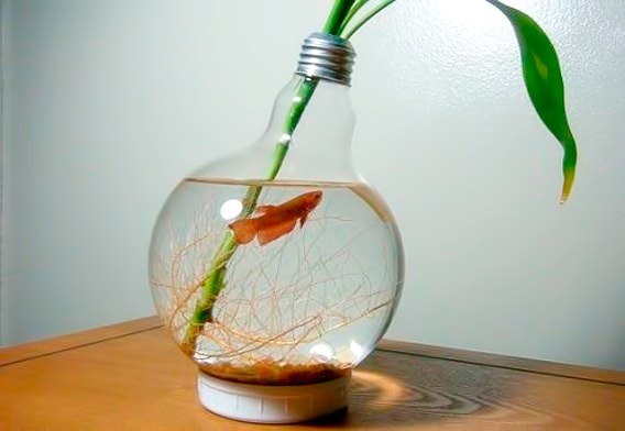 Новая жизнь старой лампочки