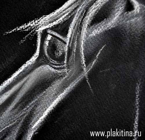 Рисуем белой пастелью черного коня