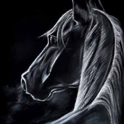 Рисуем белой пастелью черную лошадь