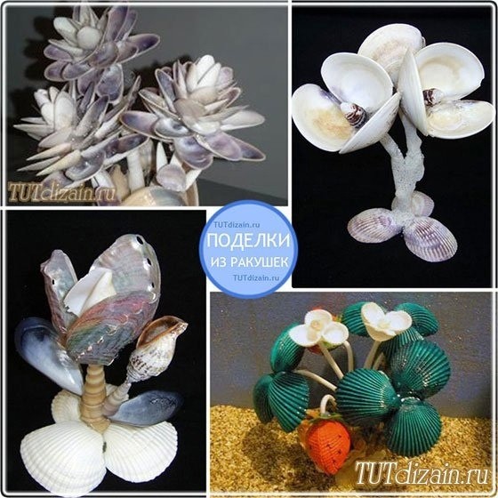 Самые разные поделки из ракушек Самые разные поделки из ракушек