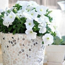 Цветочный горшок с камнями своими руками