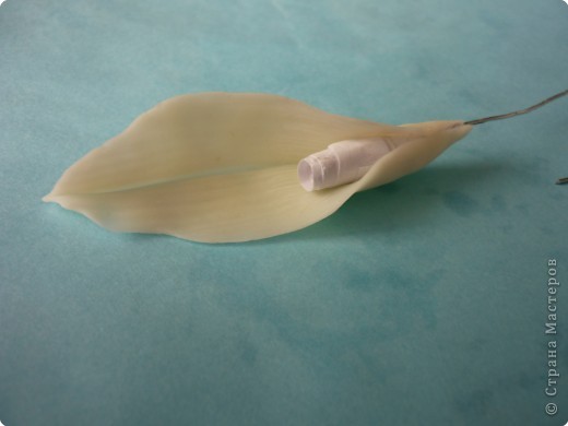 Лепим лилию: как живая