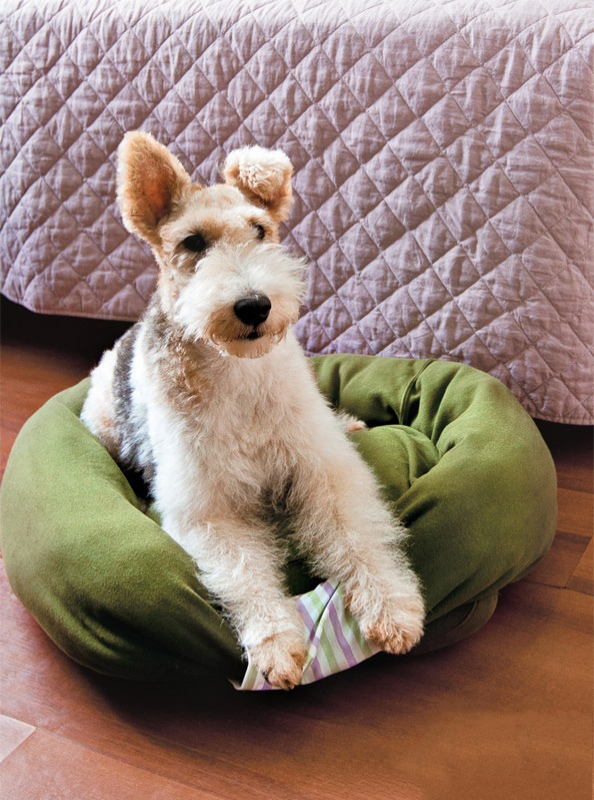 Лежанка для собак