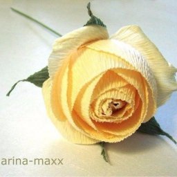 Роза из гофрированой бумаги