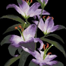 Восхитительные цветы на черном фоне