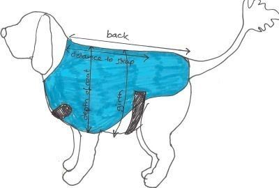 Выкройка одежды для собак мелких пород: интересные идеи, описание и рекомендации