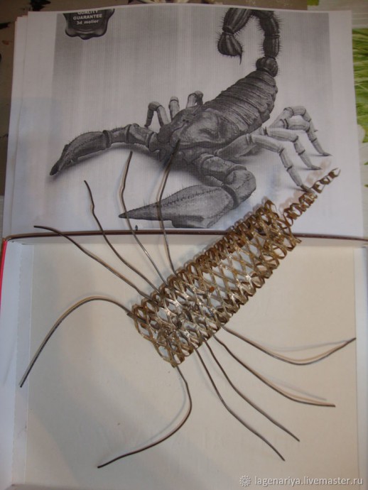 Скорпион практически из ничего