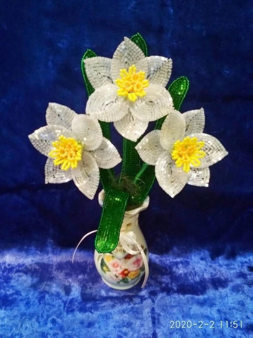 ​Нарциссы из рубки