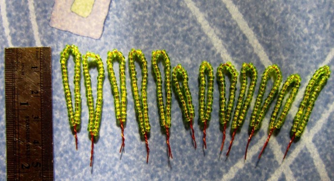 Незабываемые незабудки