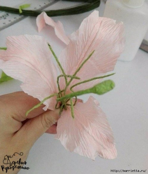 Нежная лилия в пастельных тонах