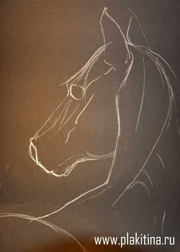Рисуем белой пастелью черного коня