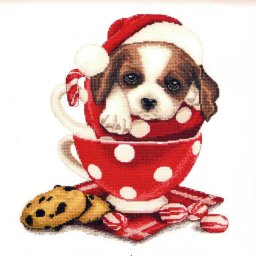 ​Щенок в чашке