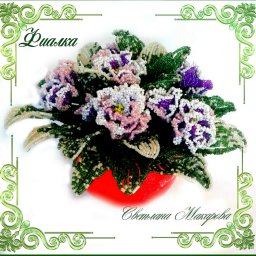 ​Махровая фиалка: мастер-класс