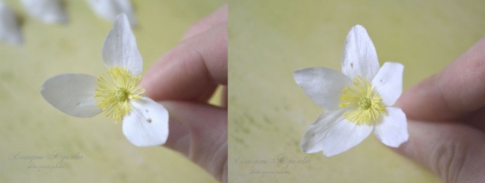 Создаем цветок "Ветреница дубравная" из фоамирана: мастер-класс, часть 3