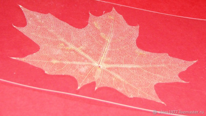 Как просто заламинировать гербарий: часть 2 Как просто заламинировать гербарий: часть 2