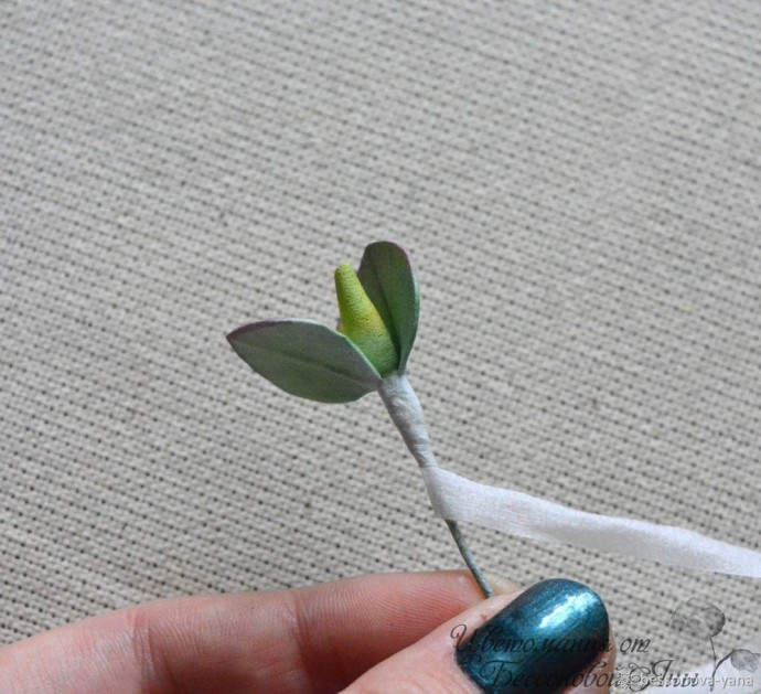 Создаем эвкалипт "Бейби Блю" из фоамирана: часть 2