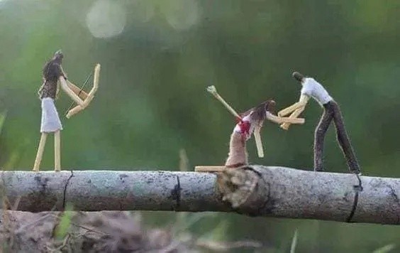 Объемные арт-инсталляции из спичек Объемные арт-инсталляции из спичек