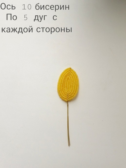 ​Пахистахис из бисера и рубки