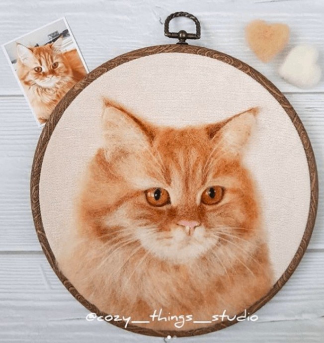 ​Валяем из шерсти кошек и собак