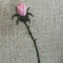 Вышиваем прекрасную розу