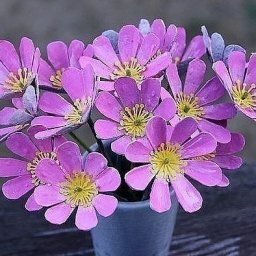 Цветы из лотков от яиц