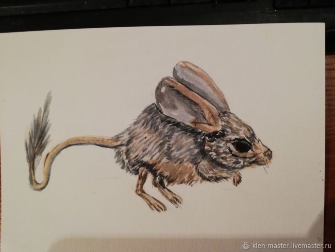 Рисуем тушканчика акварелью