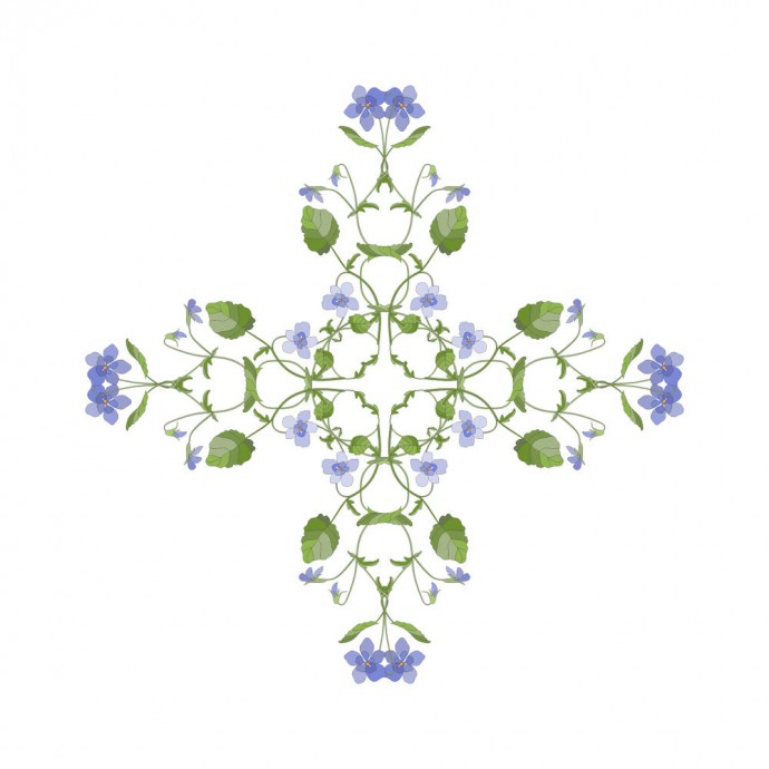 ​Узоры из фиалок