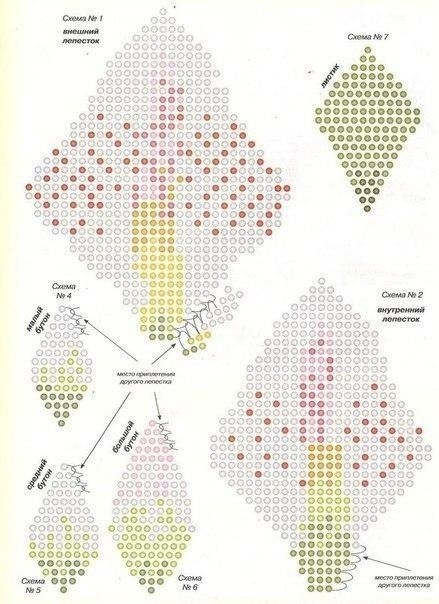 Лилия из биcеpa Лилия из биcеpa