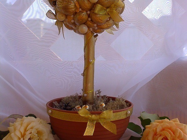 Делаем топиарий с золотыми орешками