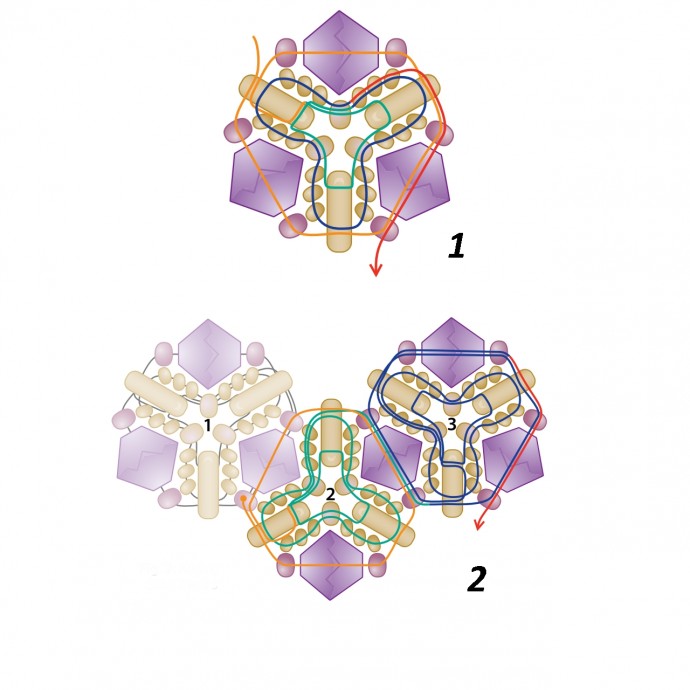 Ожерелье с бусинами в форме восьмигранника Ожерелье с бусинами в форме восьмигранника