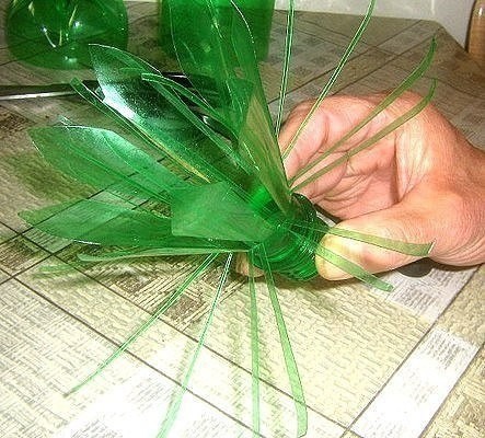 Вечные цветы для сада