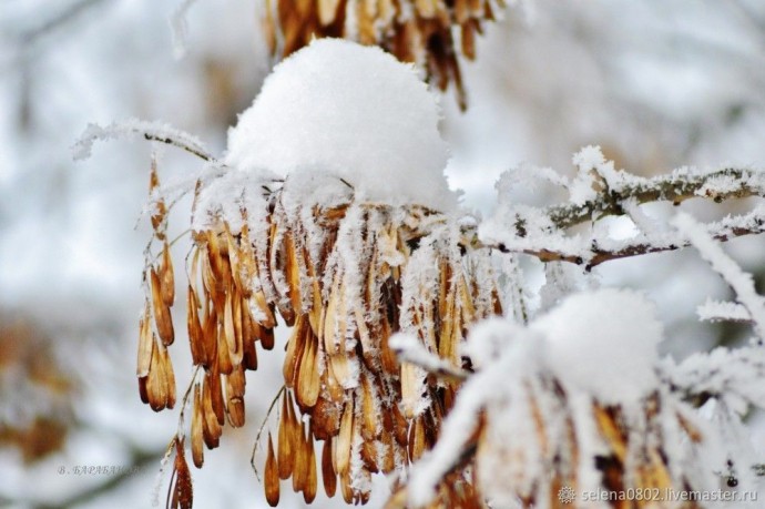 Мастерим ёлку из природных материалов: часть 1