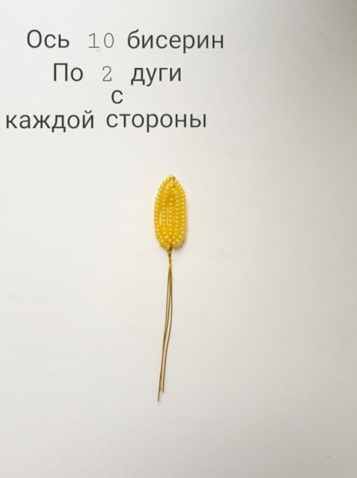 ​Пахистахис из бисера и рубки