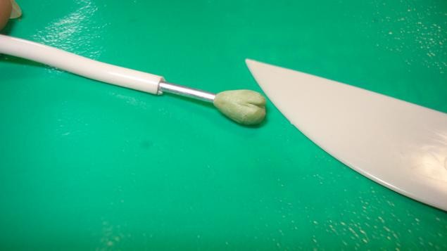 Венерин Башмачок: часть 2