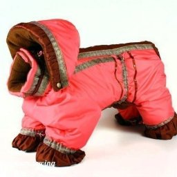 ​Выкройка комбинезона для собачки с описанием работы