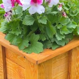 Как сделать деревянное кашпо своими руками