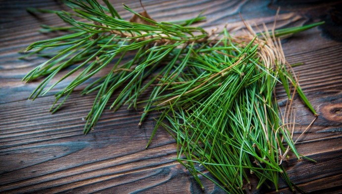 ​Подставка под горячее из хвои