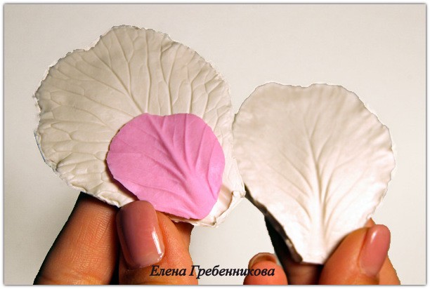 Брассика из холодного фарфора: мастер-класс, часть 1 Брассика из холодного фарфора: мастер-класс, часть 1