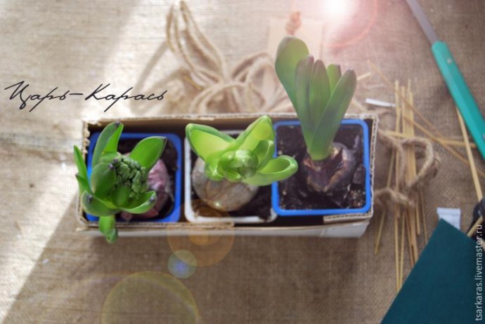 Кашпо в стиле рустик из старой коробки: часть 1 Кашпо в стиле рустик из старой коробки: часть 1