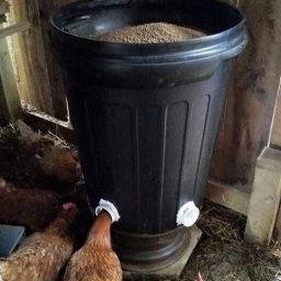 Хорошие идеи для курятника