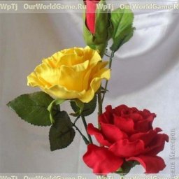 ​Розы из фоамирана