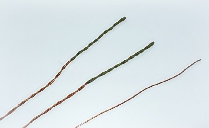 Ёлочка из рубки