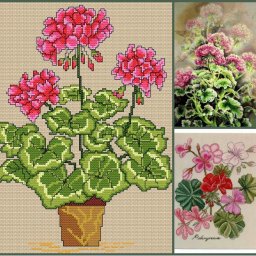 ​Вышиваем герань