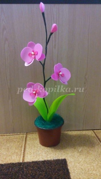 Орхидея из пластиковых бутылок: мастер-класс